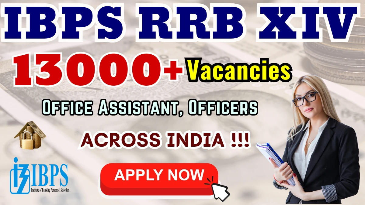 IBPS RRB XIV Recruitment 2025 Notification OUT: Apply online for 13,217 Office Assistant, Officers Posts by 21 Sep